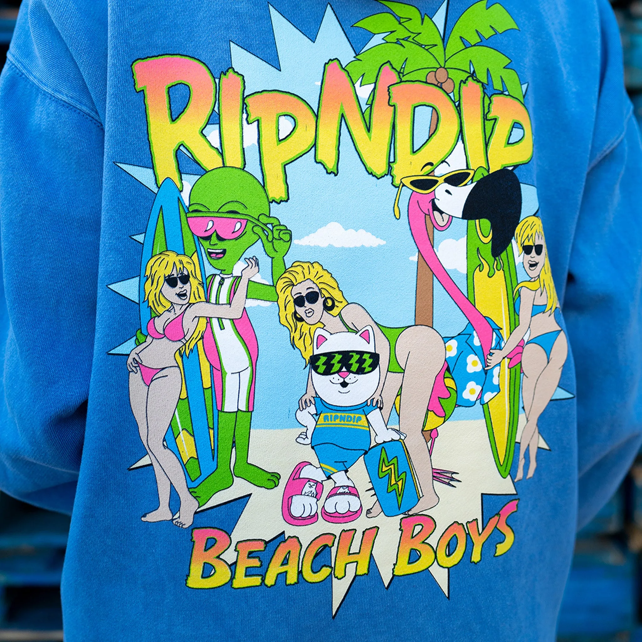 Beach Boys Hoodie (Periwinkle Mineral Wash)