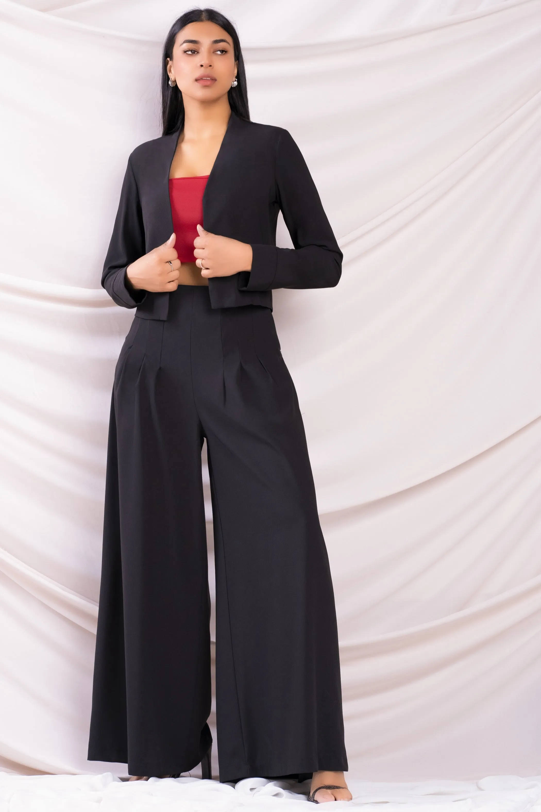 Pleated Wide Leg Pant